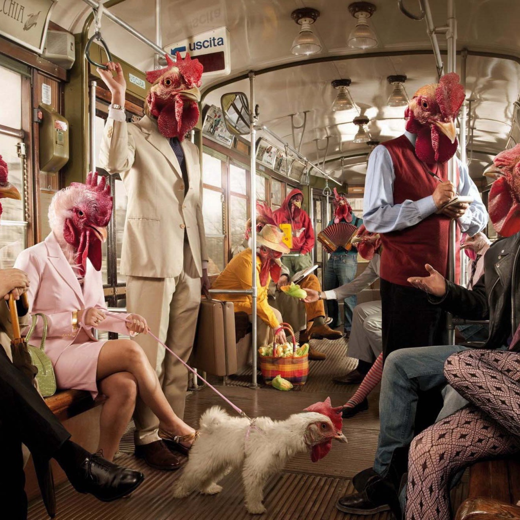 Поездка в курятнике