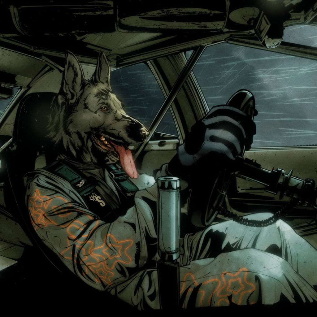 Собака в гоночной машине