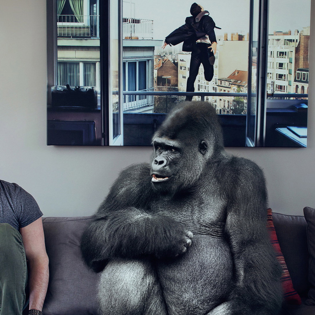 Обезьяна хочет банан