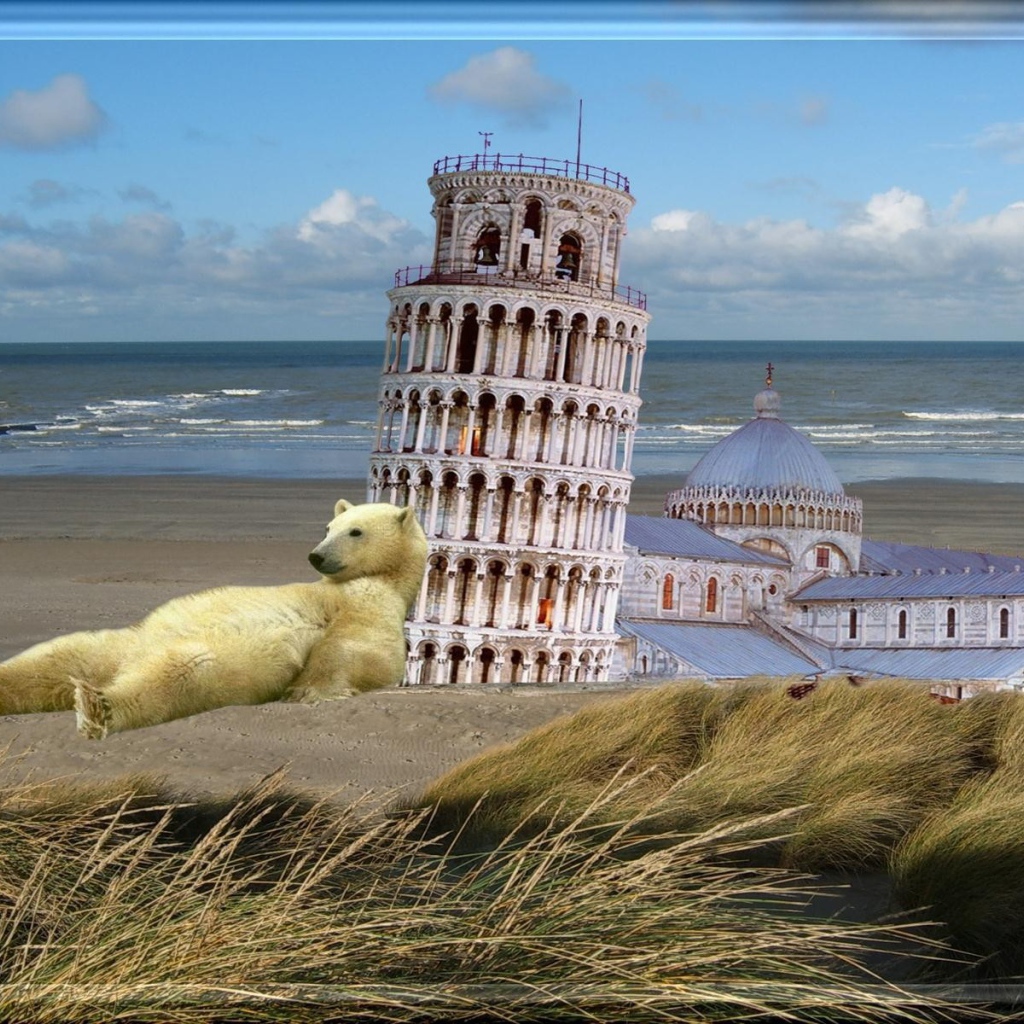 Белый медведь у Пизанской башни