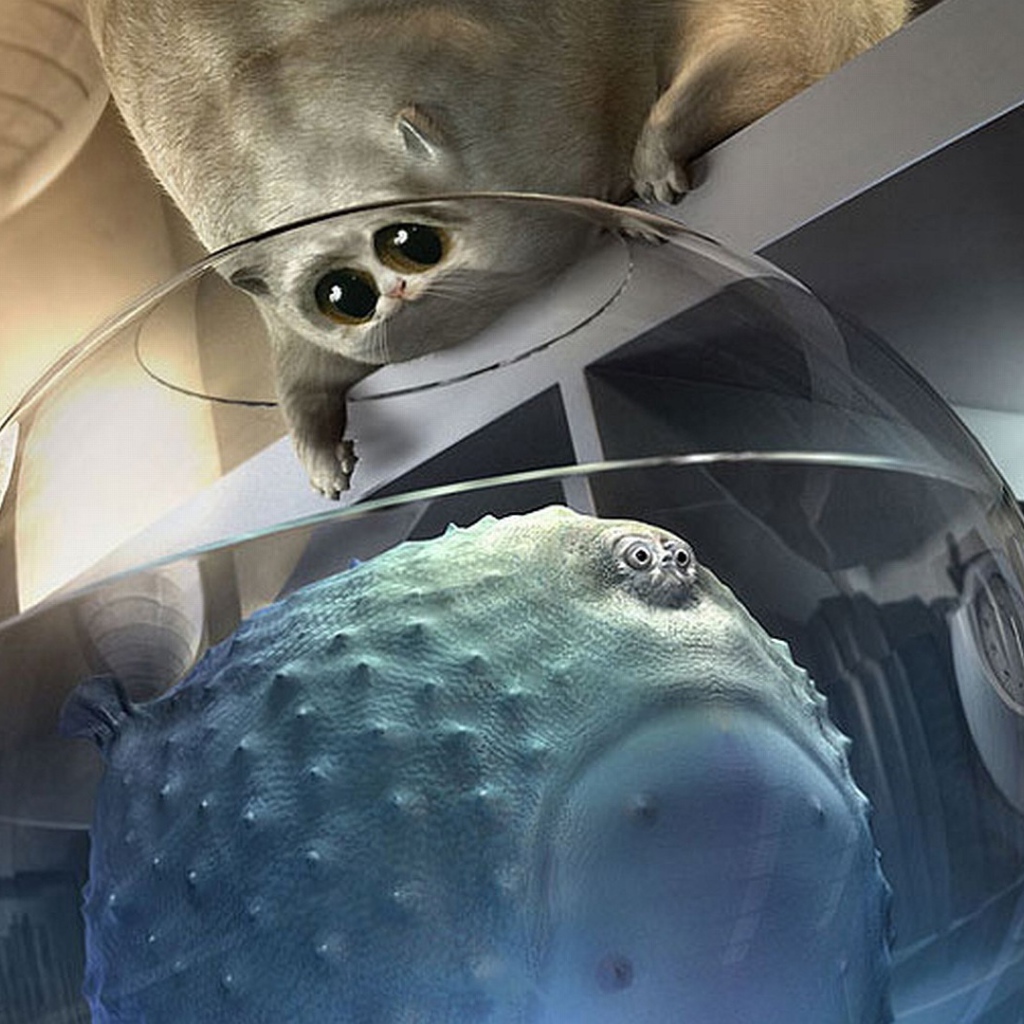 Толстый кот и толстая рыба