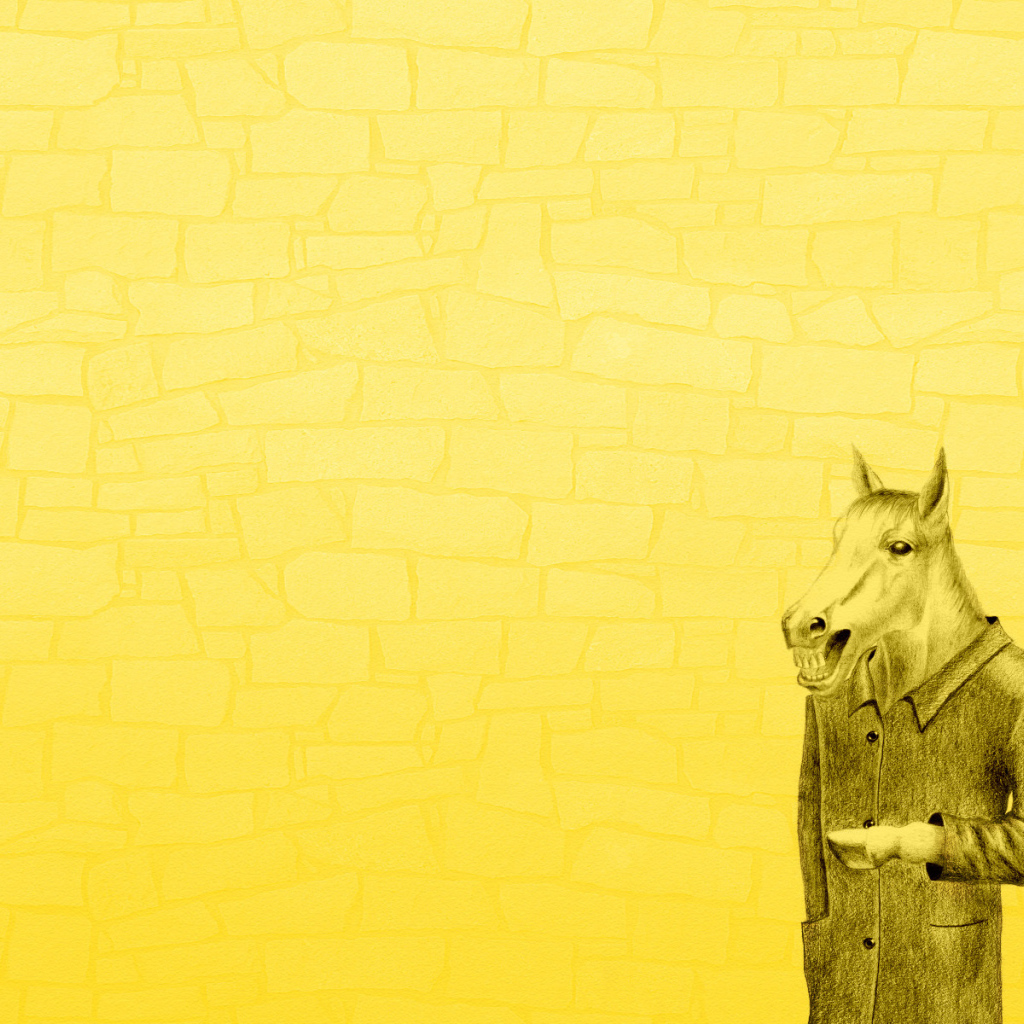 Конь в пальто