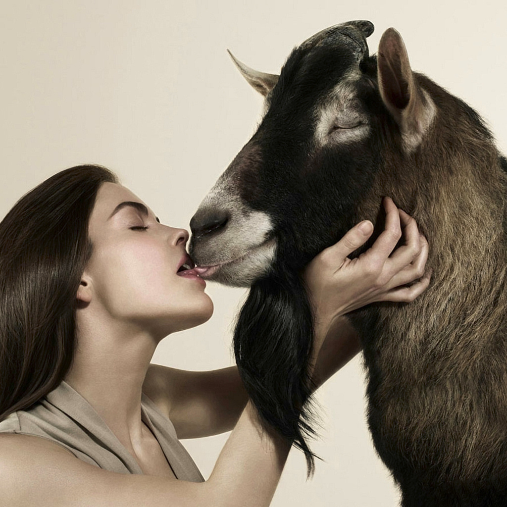 Любовь зла, полюбишь и козла