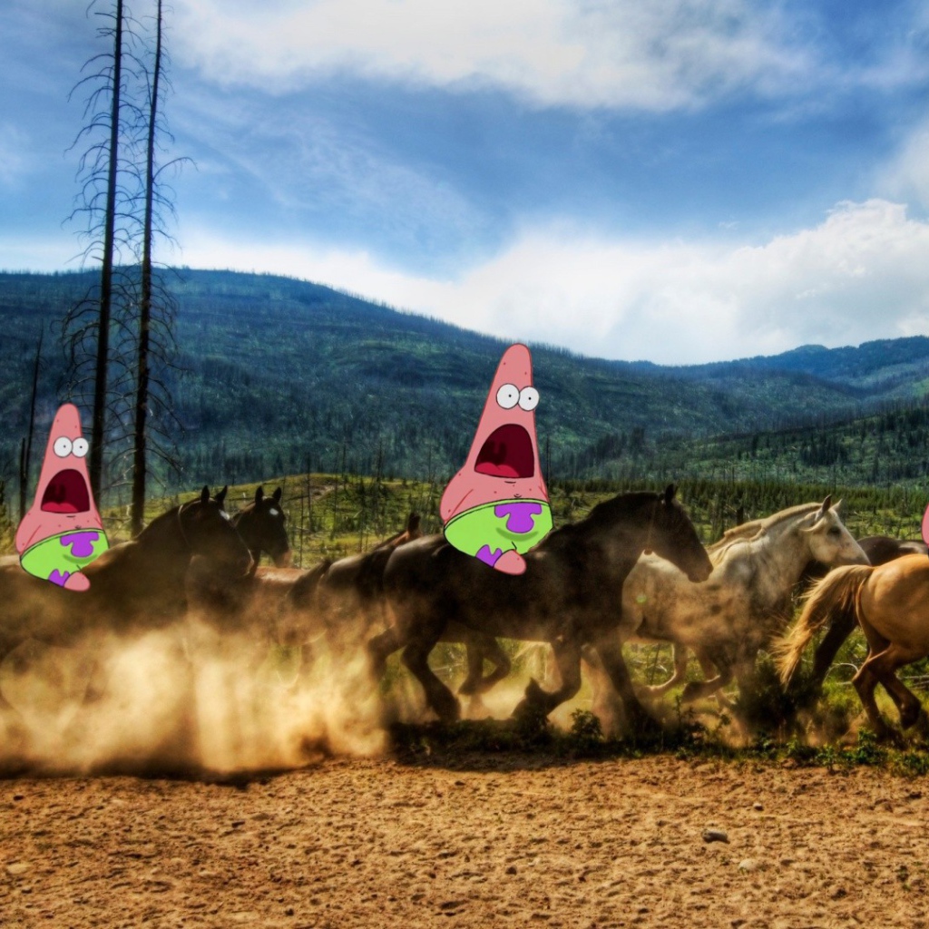 Патрик на лошадях