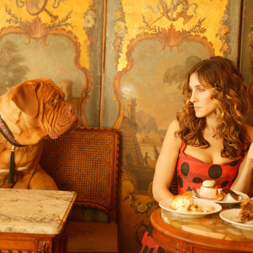 Собака просит еще еды