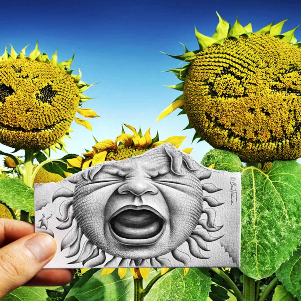 Лицо на подсолнухе