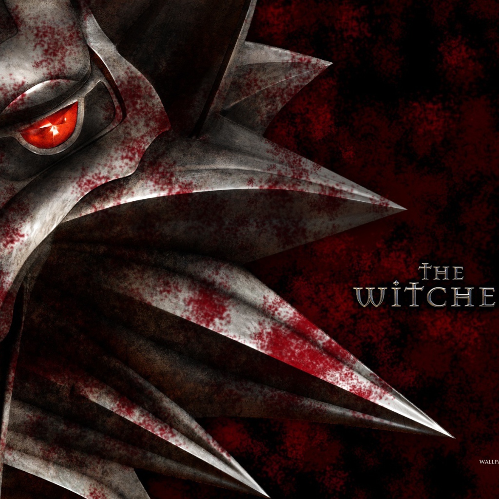 Постер игры Ведьмак