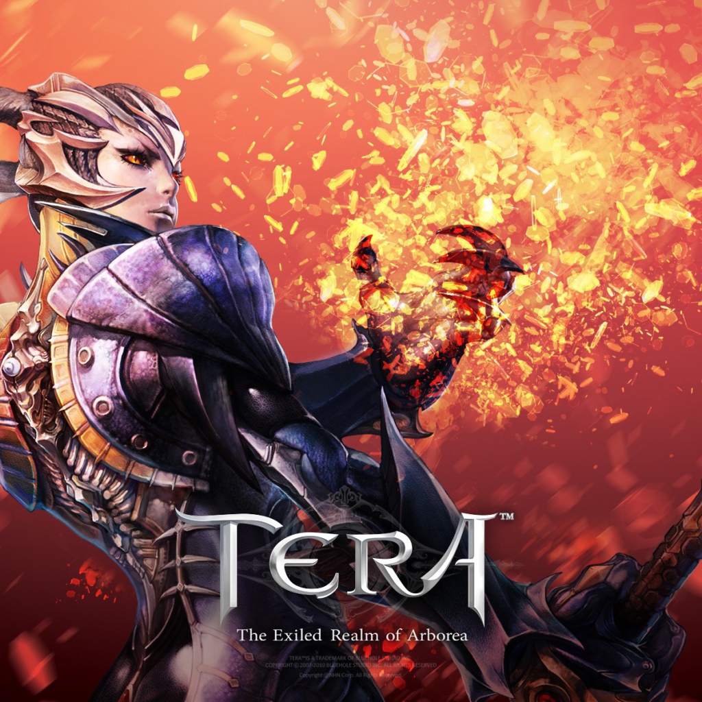 Воин из видео игры Тера