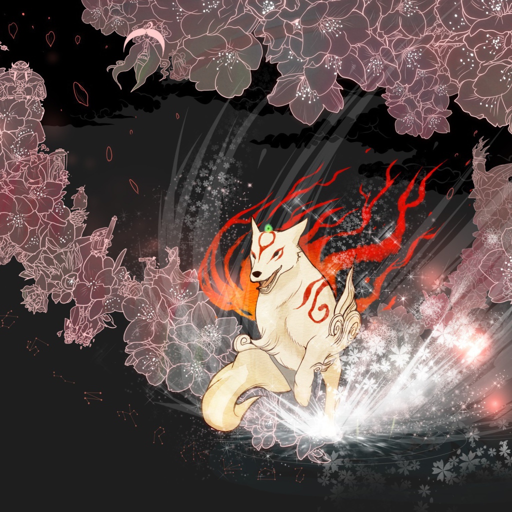 Видео игра Оками