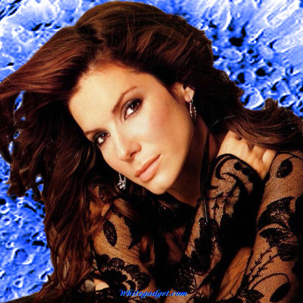 Популярная Сандра Баллок