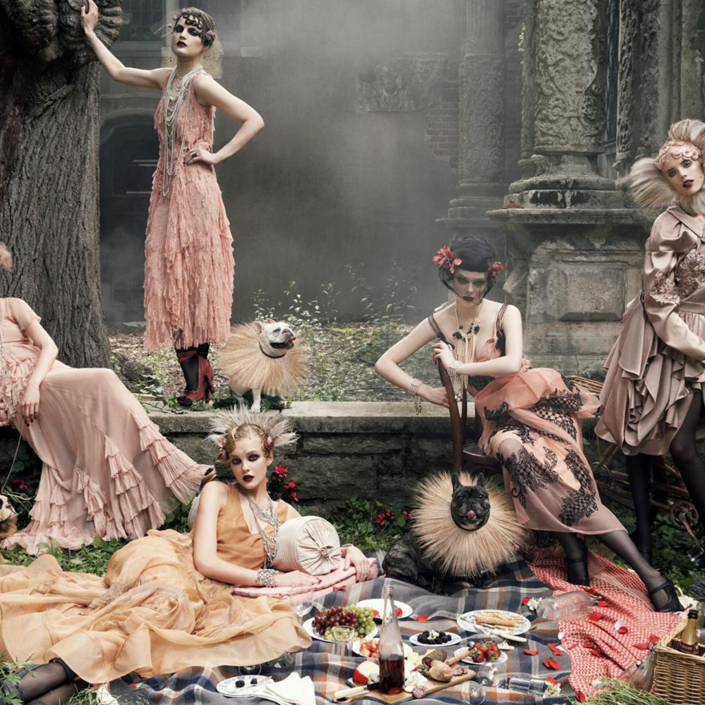 Девушки на пикнике