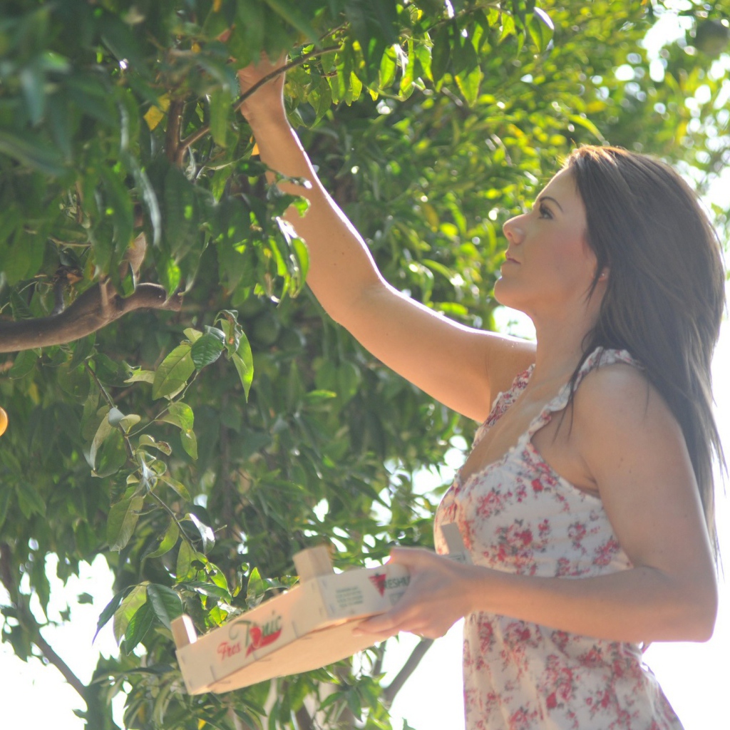 Девушка собирает фрукты