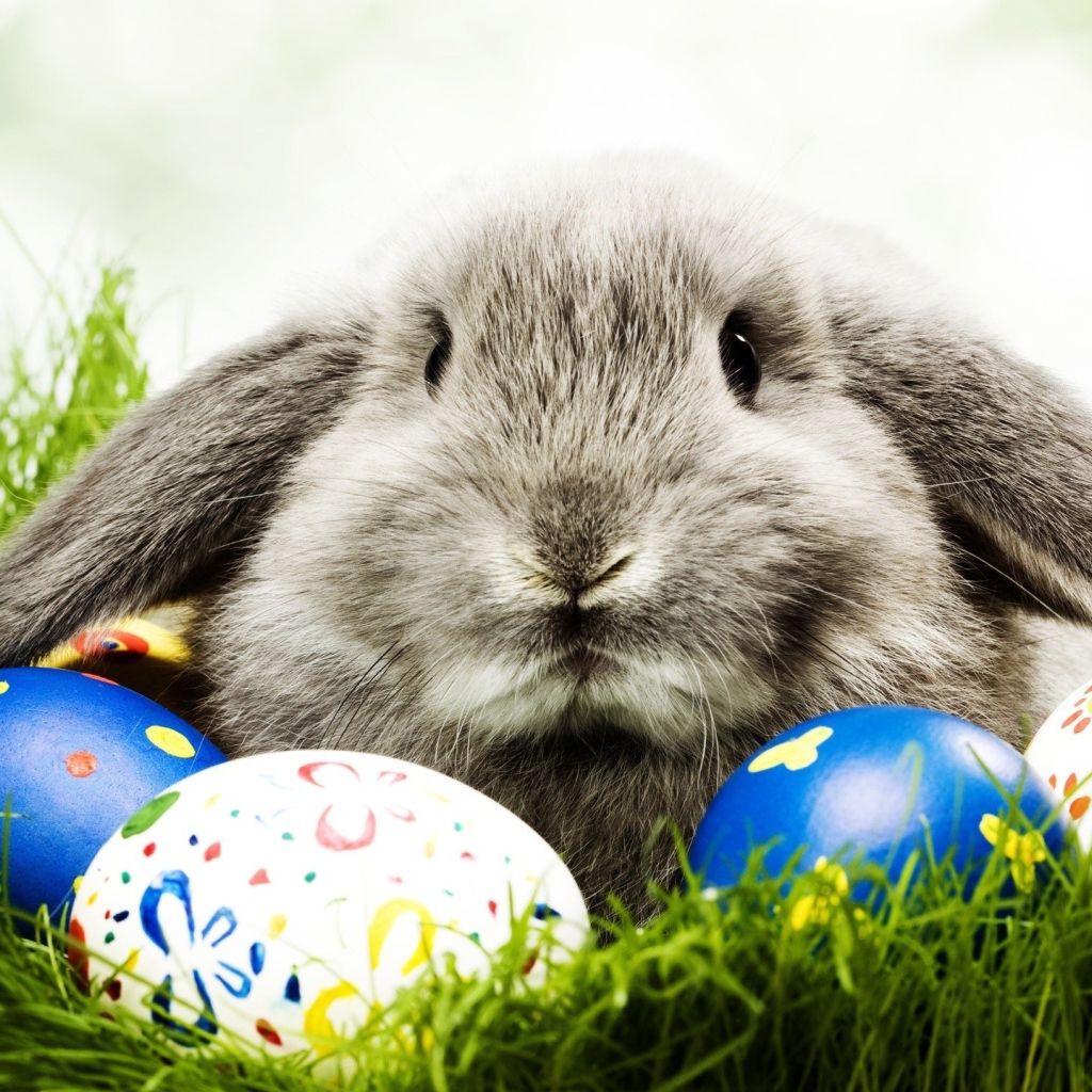 Кролик и пасхальные яйца