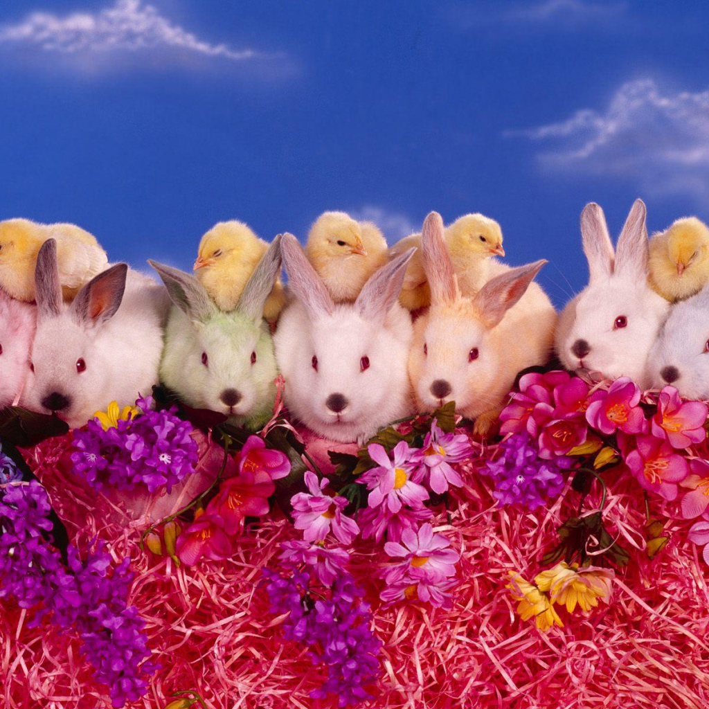 Цыплята и кролики на Пасху