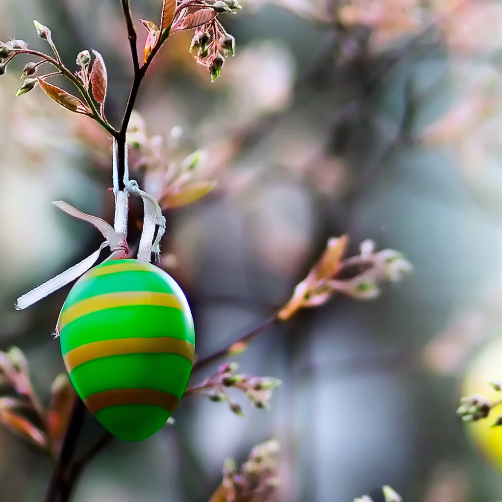Яйцо на ветке на Пасху