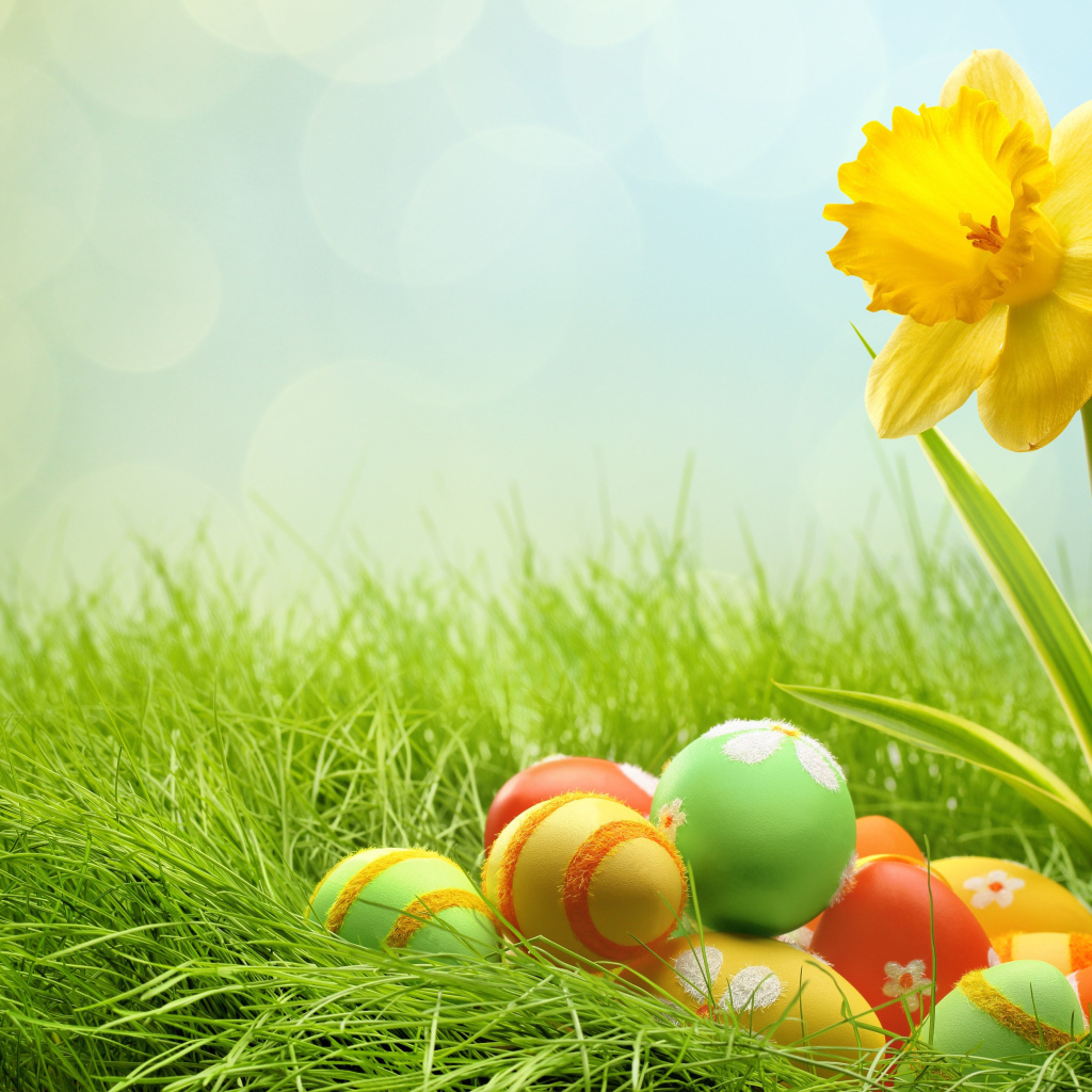 Яйца и желтый цветок на Пасху