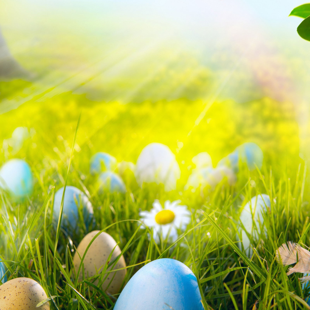Яйца на лугу на Пасху