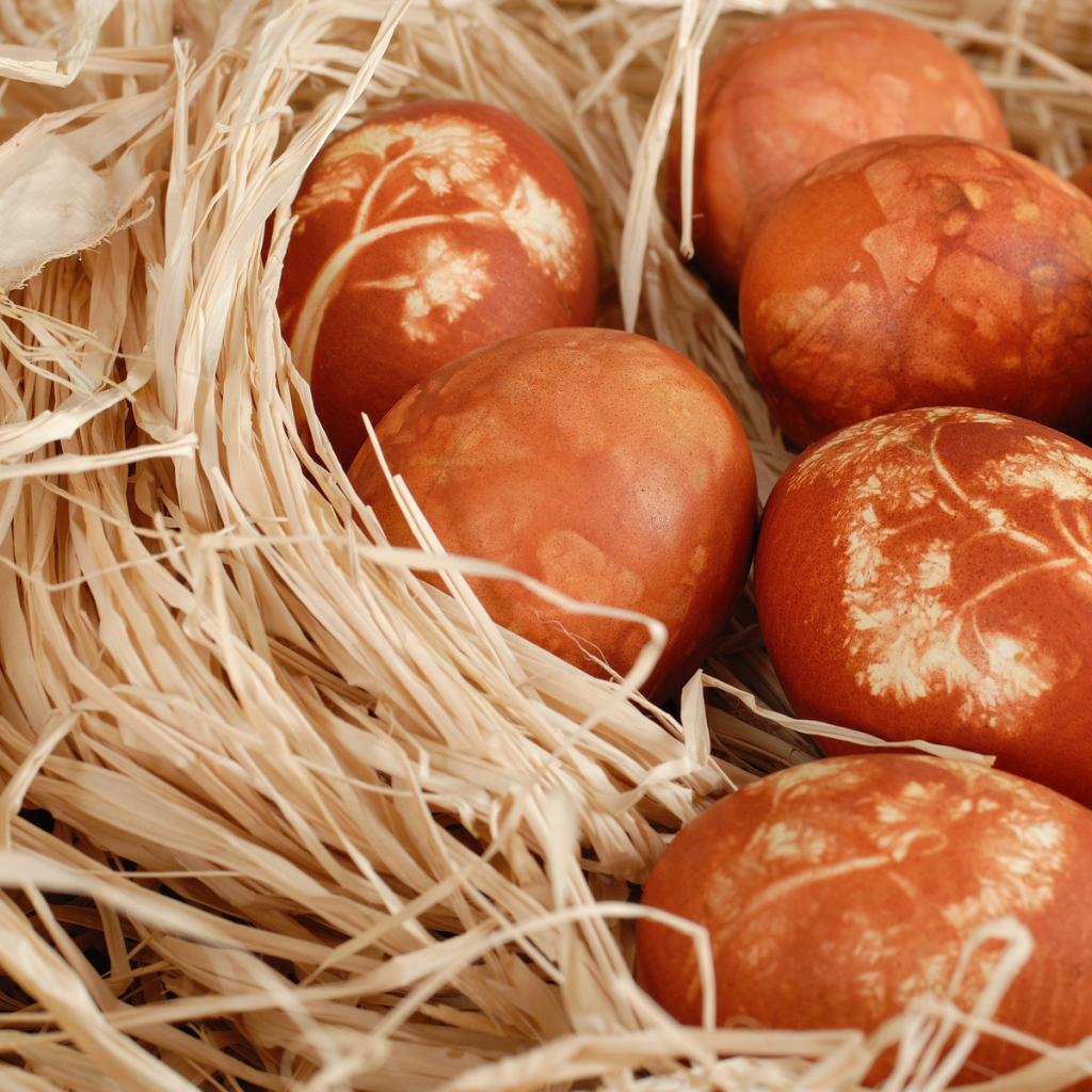 Гнездо с яйцами на Пасху