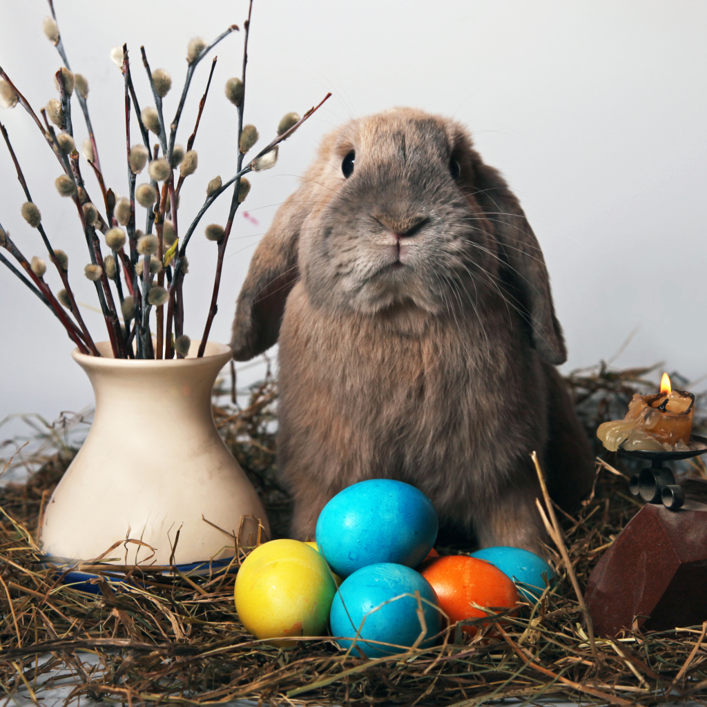 Кролик и мимоза на Пасху