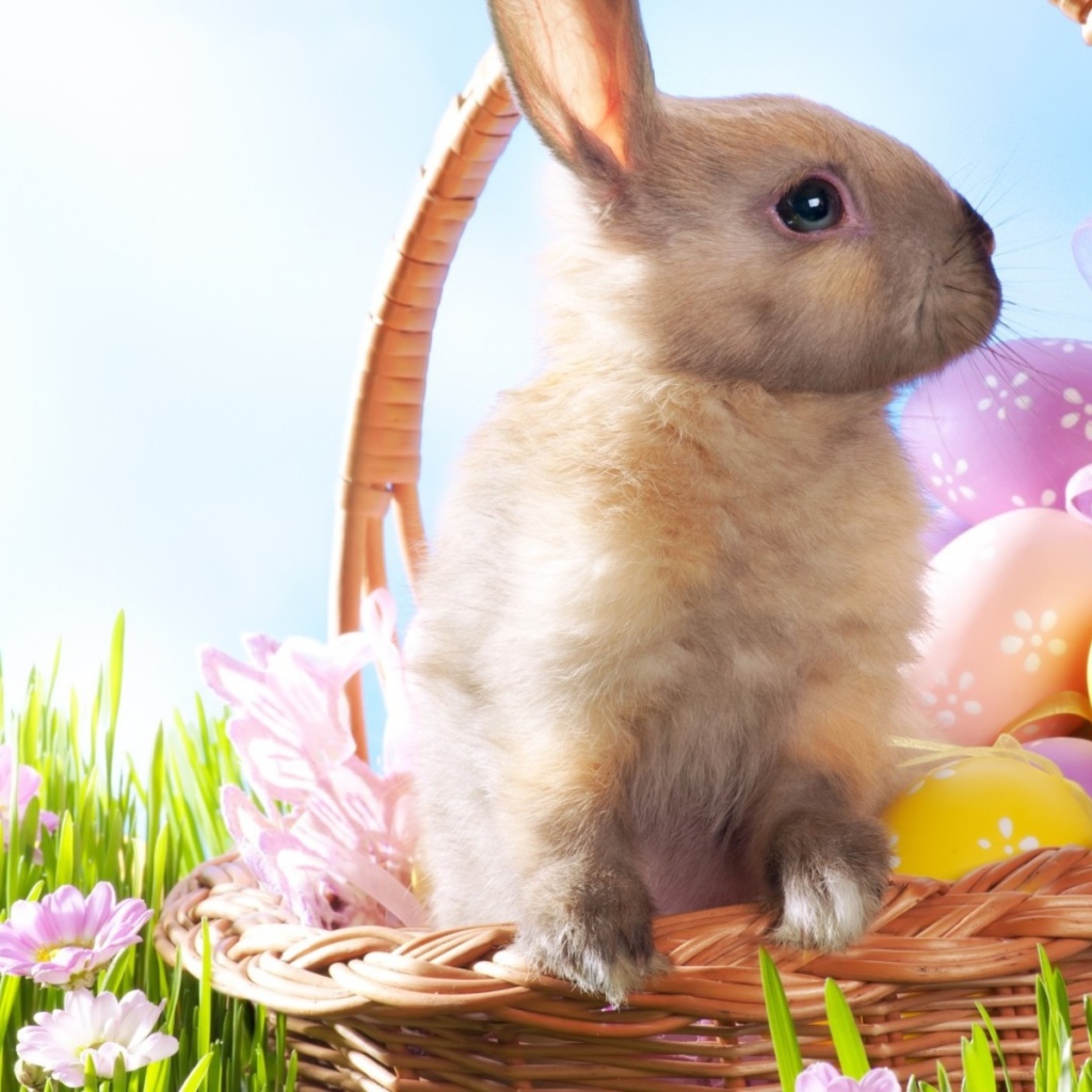 Кролик в корзине на Пасху