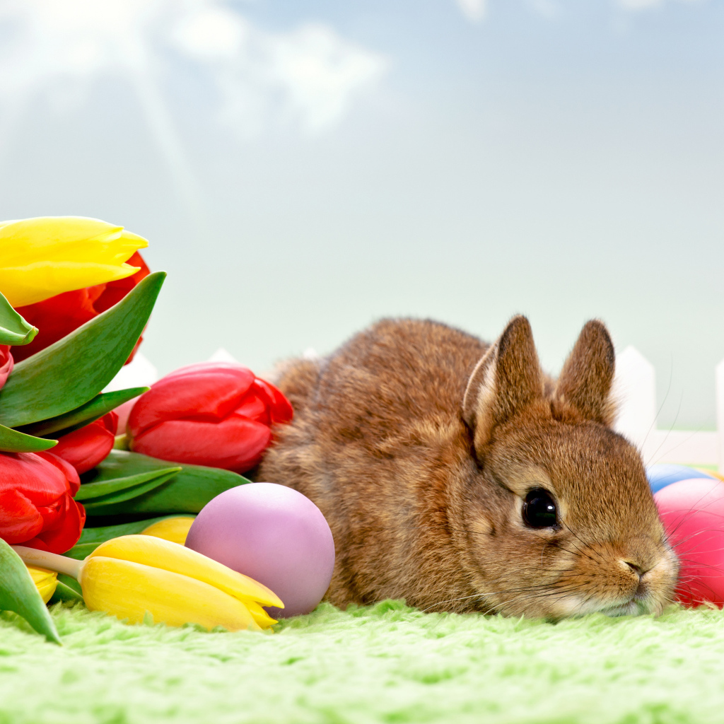 Букет тюльпанов и кролик на Пасху