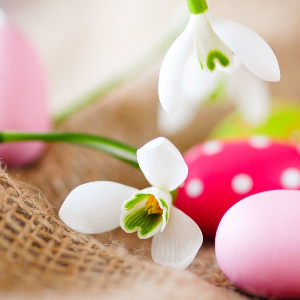 Белые цветы и яйца на Пасху