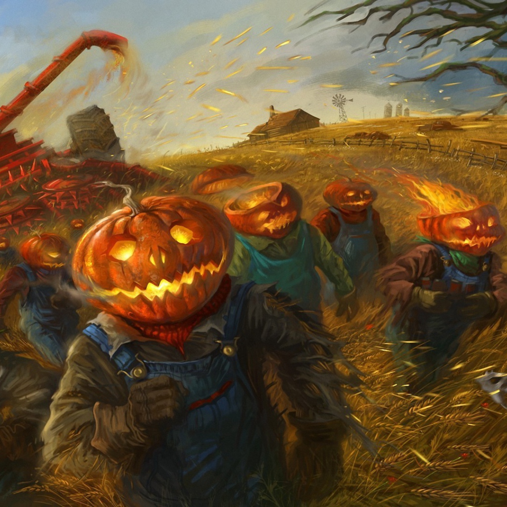 Тыквы убирают урожай