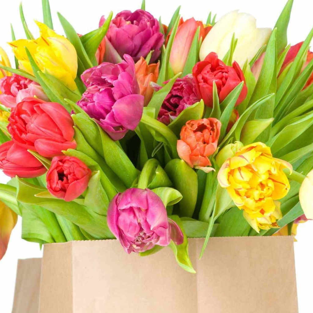 Красивый букет тюльпанов на восьмое марта