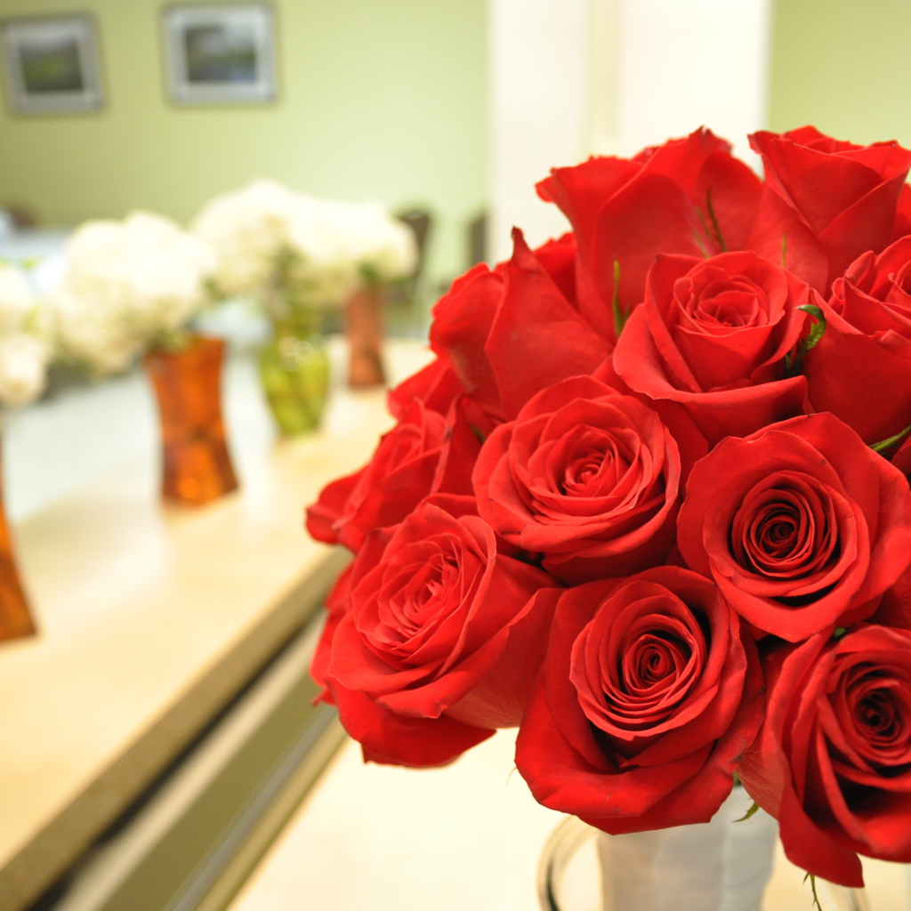 Прекрасные красные розы на 8 марта
