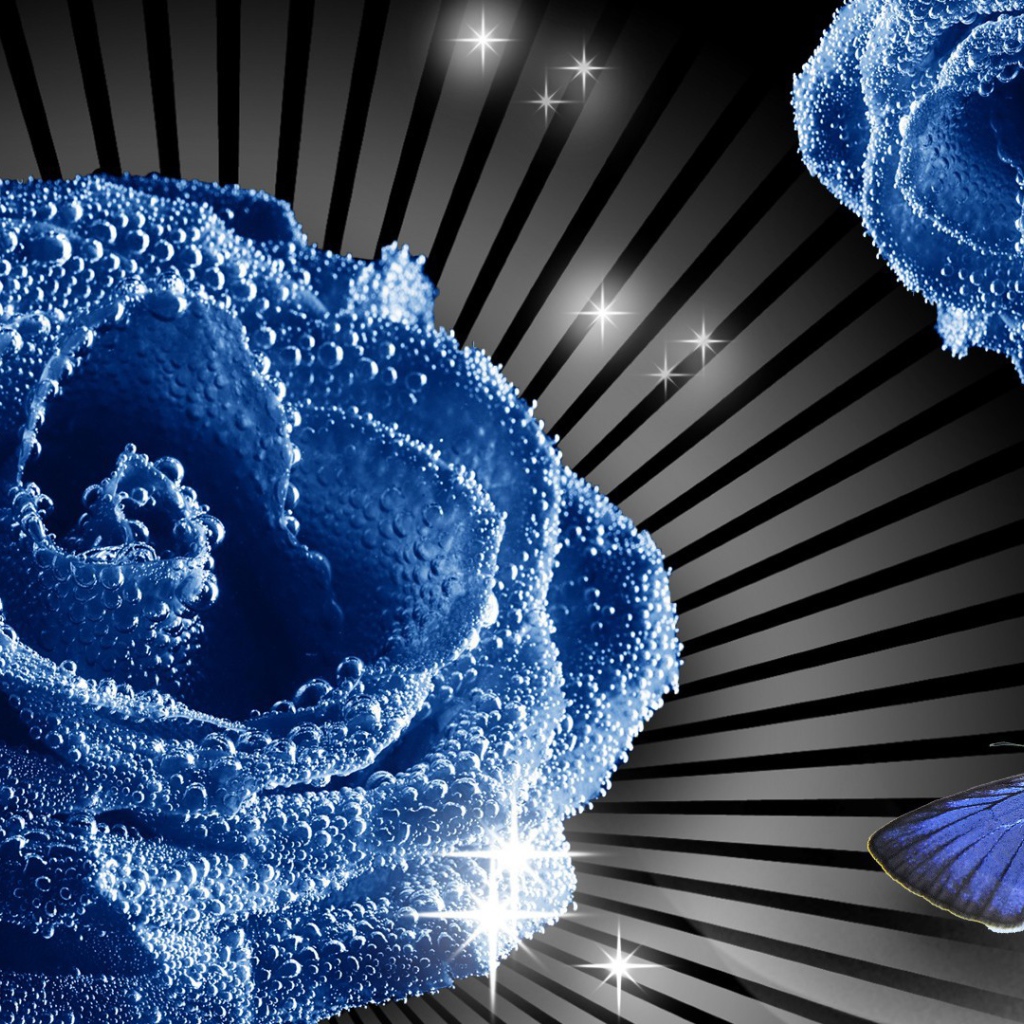 Синие роза и бабочка, картинка на восьмое марта