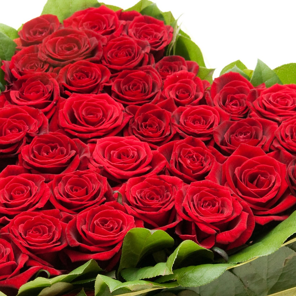 Букет красных роз на 8 марта для девушки