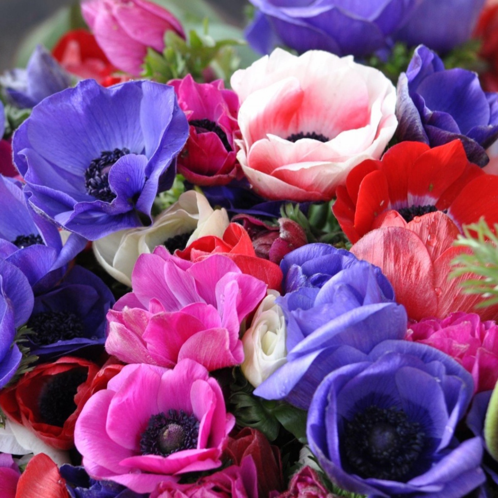 Яркий букет на восьмое марта