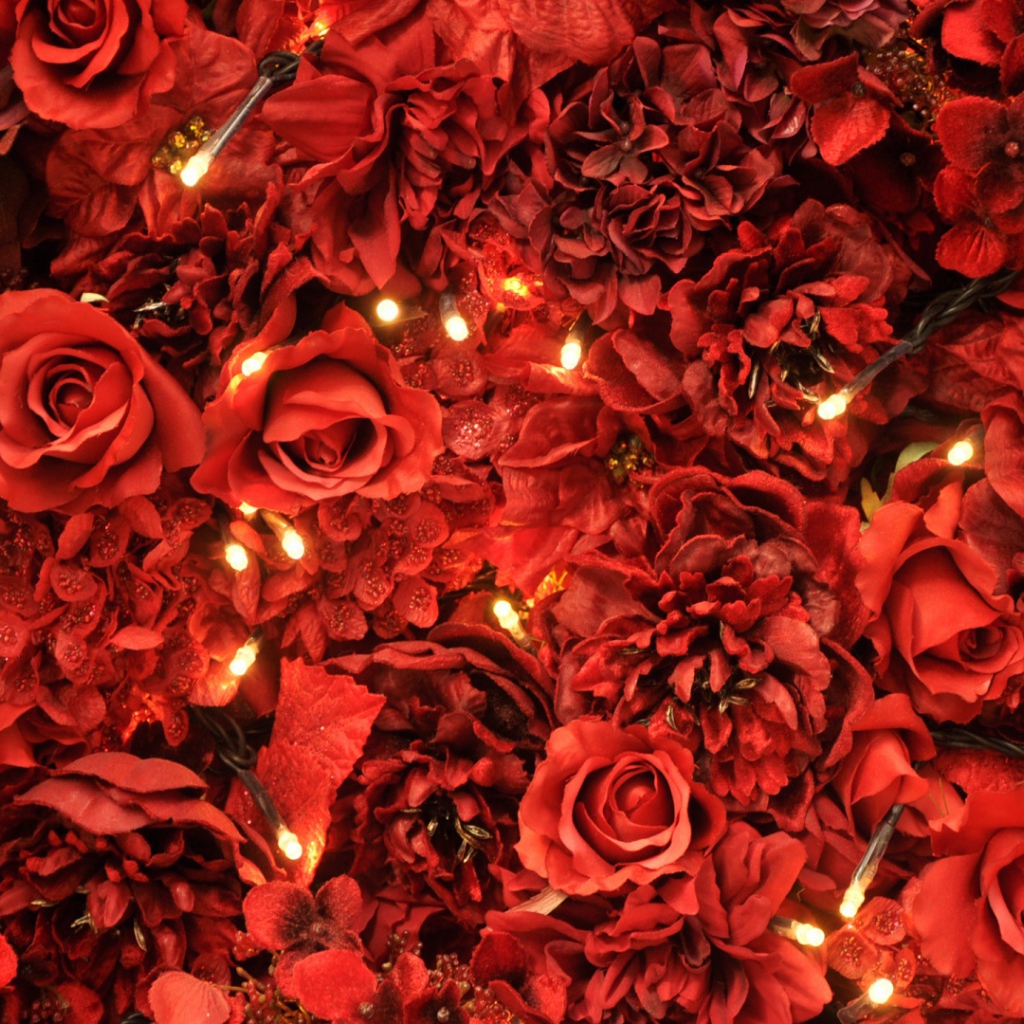 Шикарные красные розы в подарок на восьмое марта