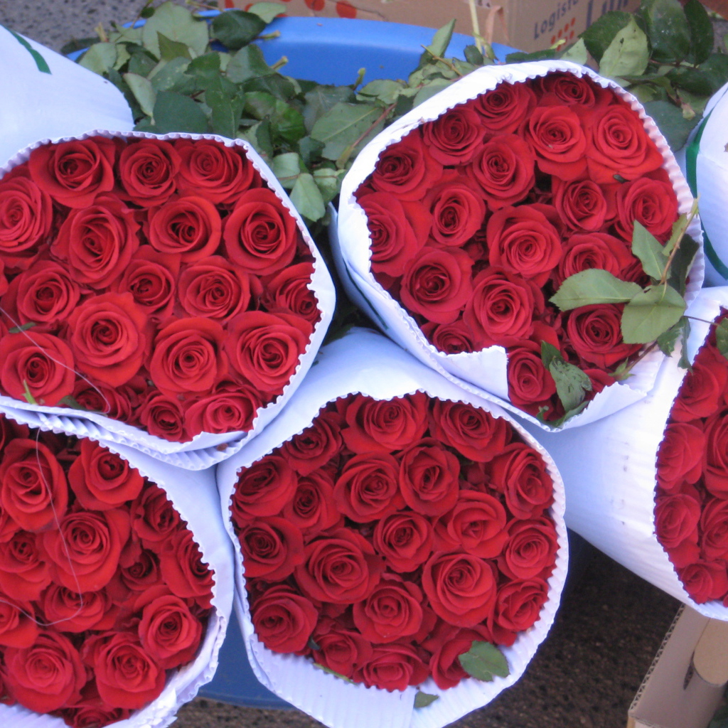 Роскошные букеты красных роз на 8 марта