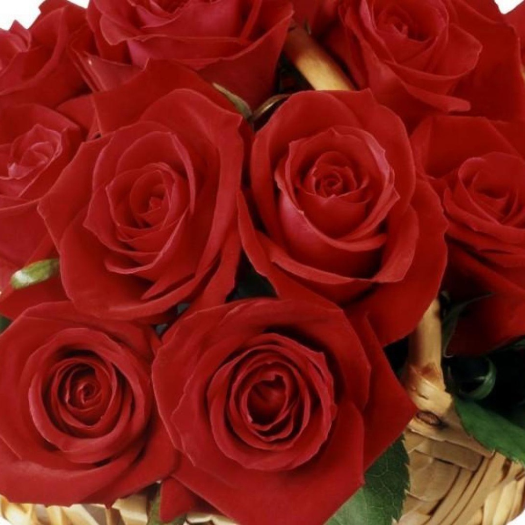 Букет волшебных красных роз на 8 марта