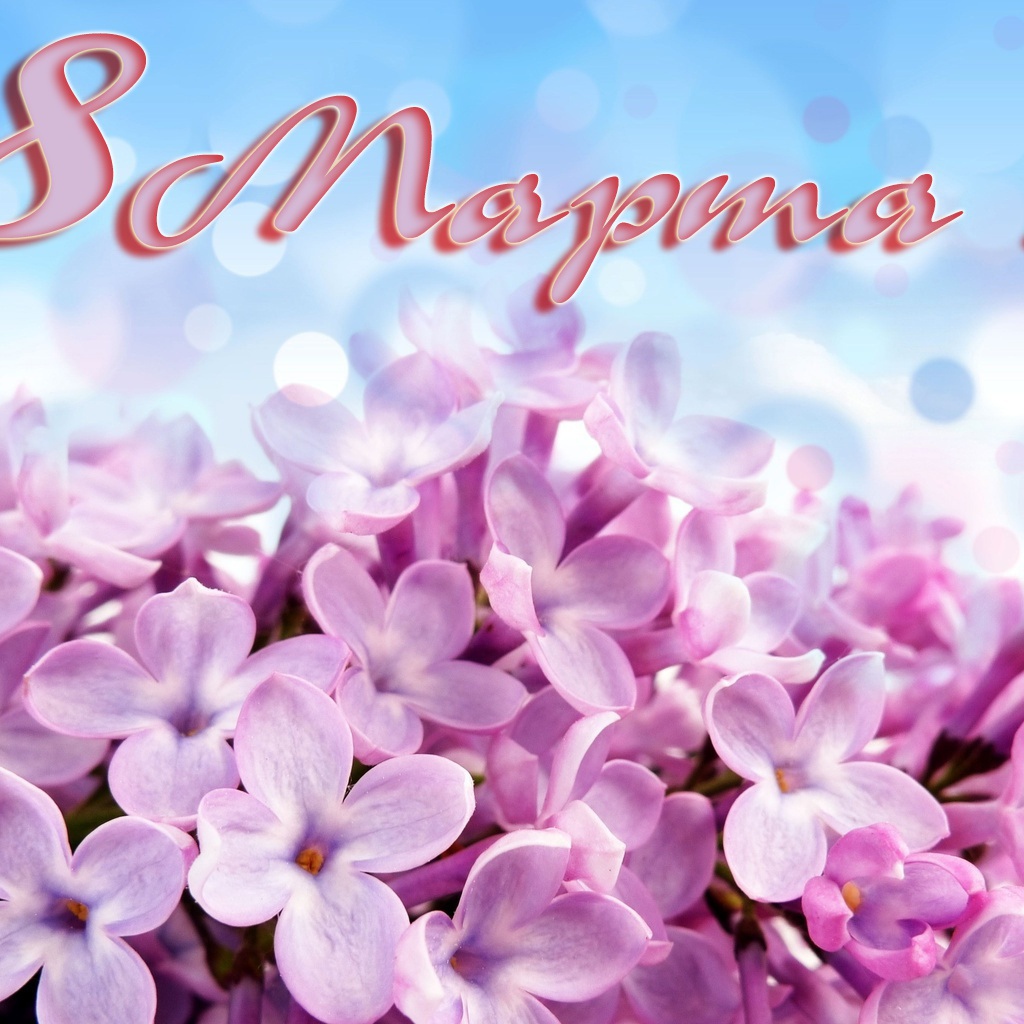 Первоцвет на 8 марта