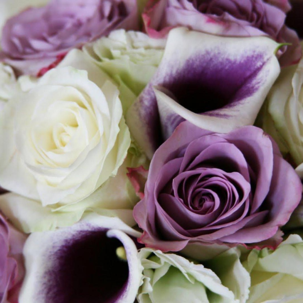 Фиолетовые розы в красивом букете на восьмое марта