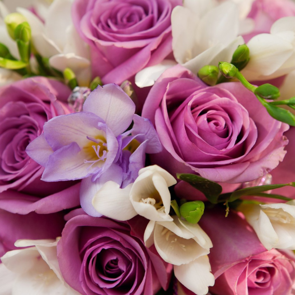 Фиолетовые розы в букете для женщин на восьмое марта