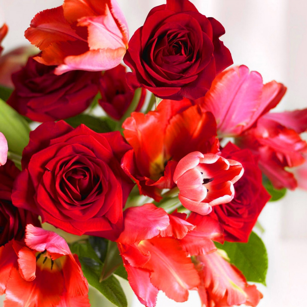 Красные розы и красные тюльпаны в подарок на восьмое марта