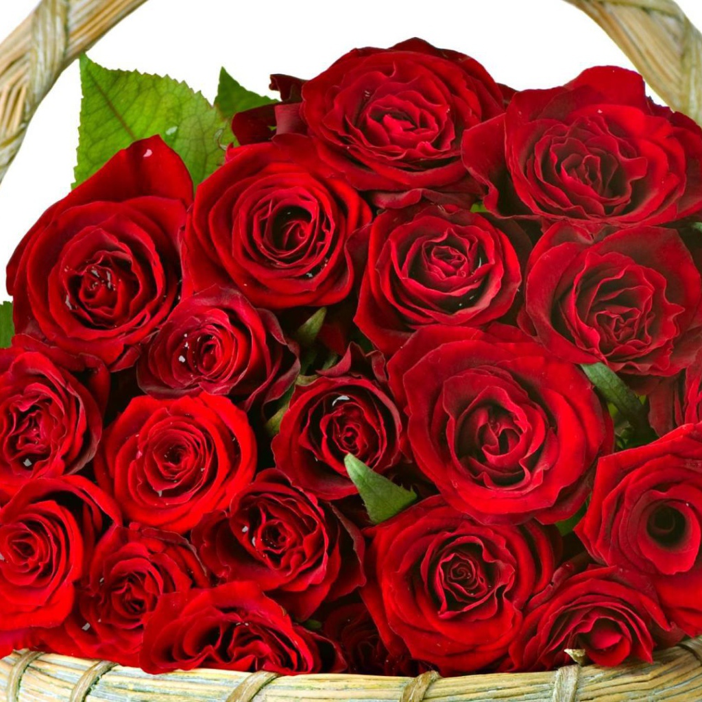 Красные розы в корзине в подарок женщинам на восьмое марта