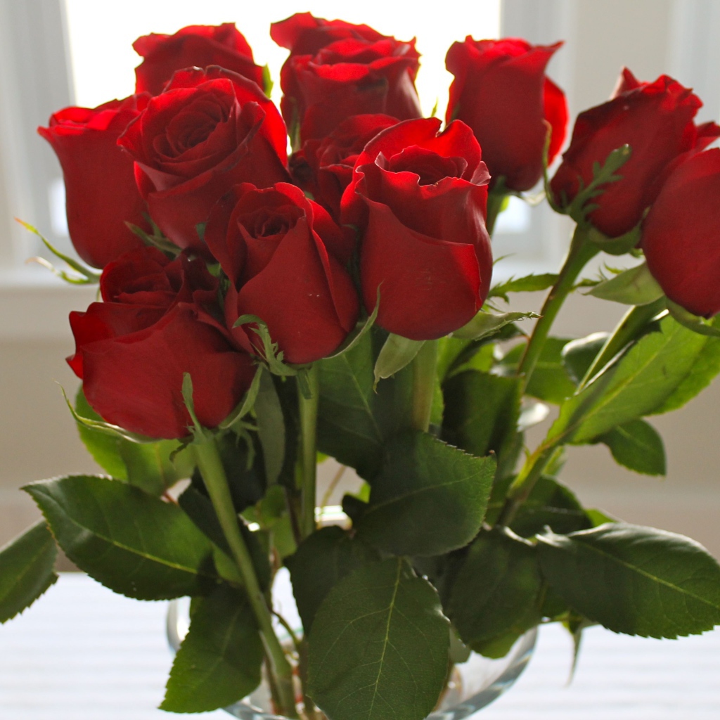 Красные розы на 8 марта