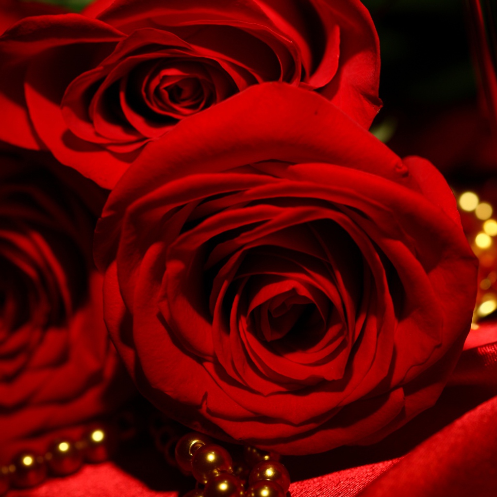 Красные розы на 8 марта на фоне атласа и жемчуга