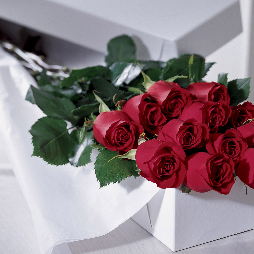 Красные розы на 8 марта в белой коробке