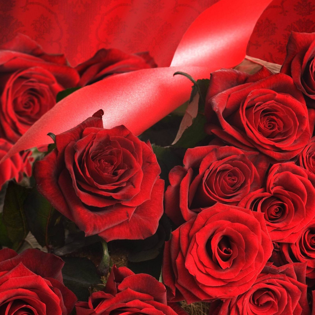 Красные розы на 8 марта с красными лентами