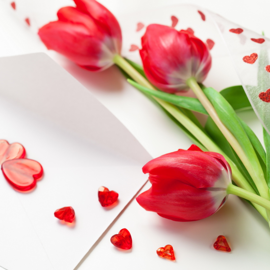 Красные тюльпаны на 8 марта