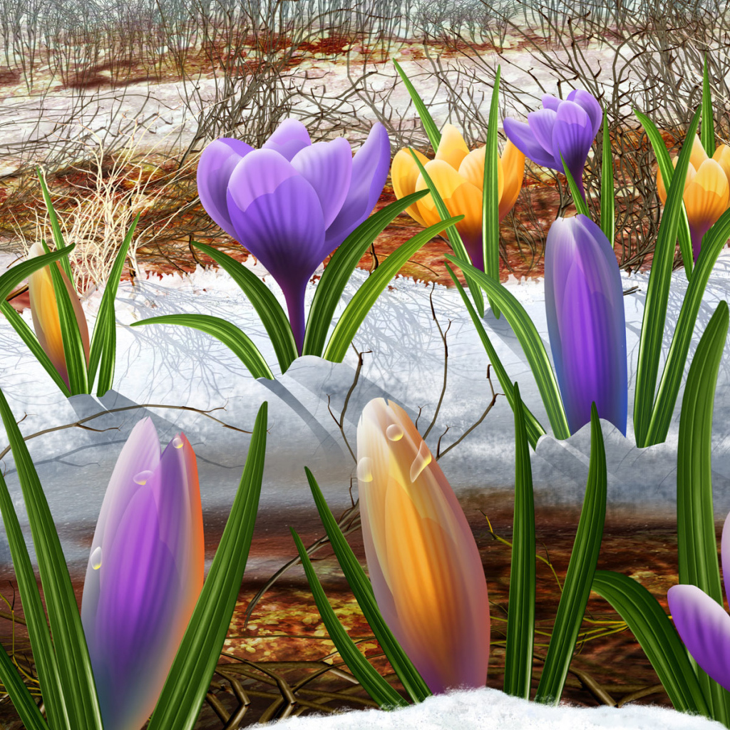 Подснежник на 8 марта