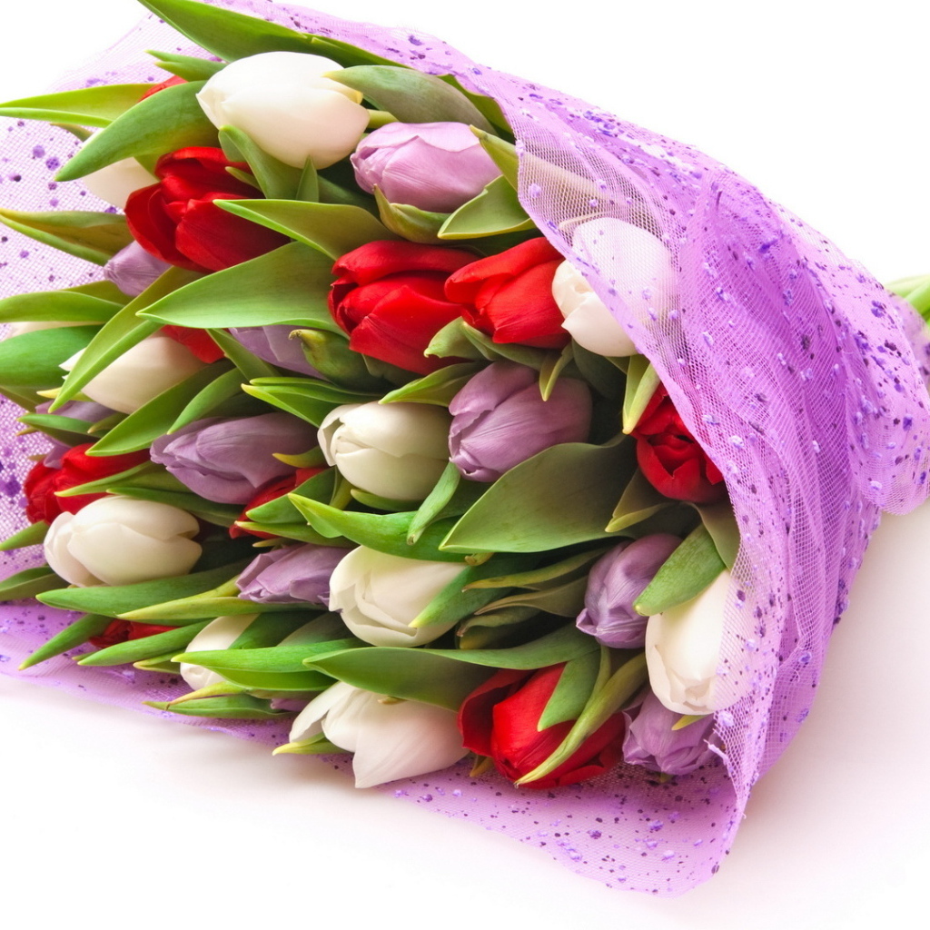 Тюльпаны для девушек на восьмое марта