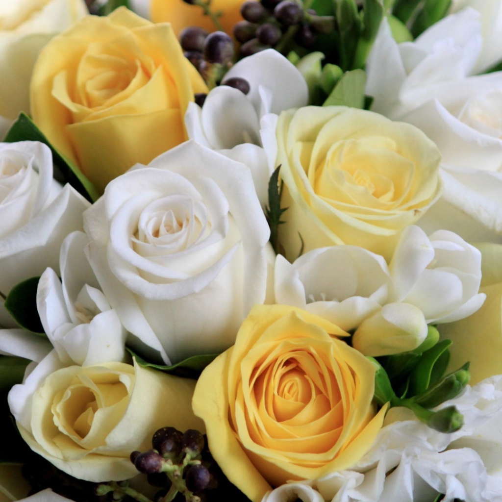 Белые и жёлтые розы в букете на восьмое марта