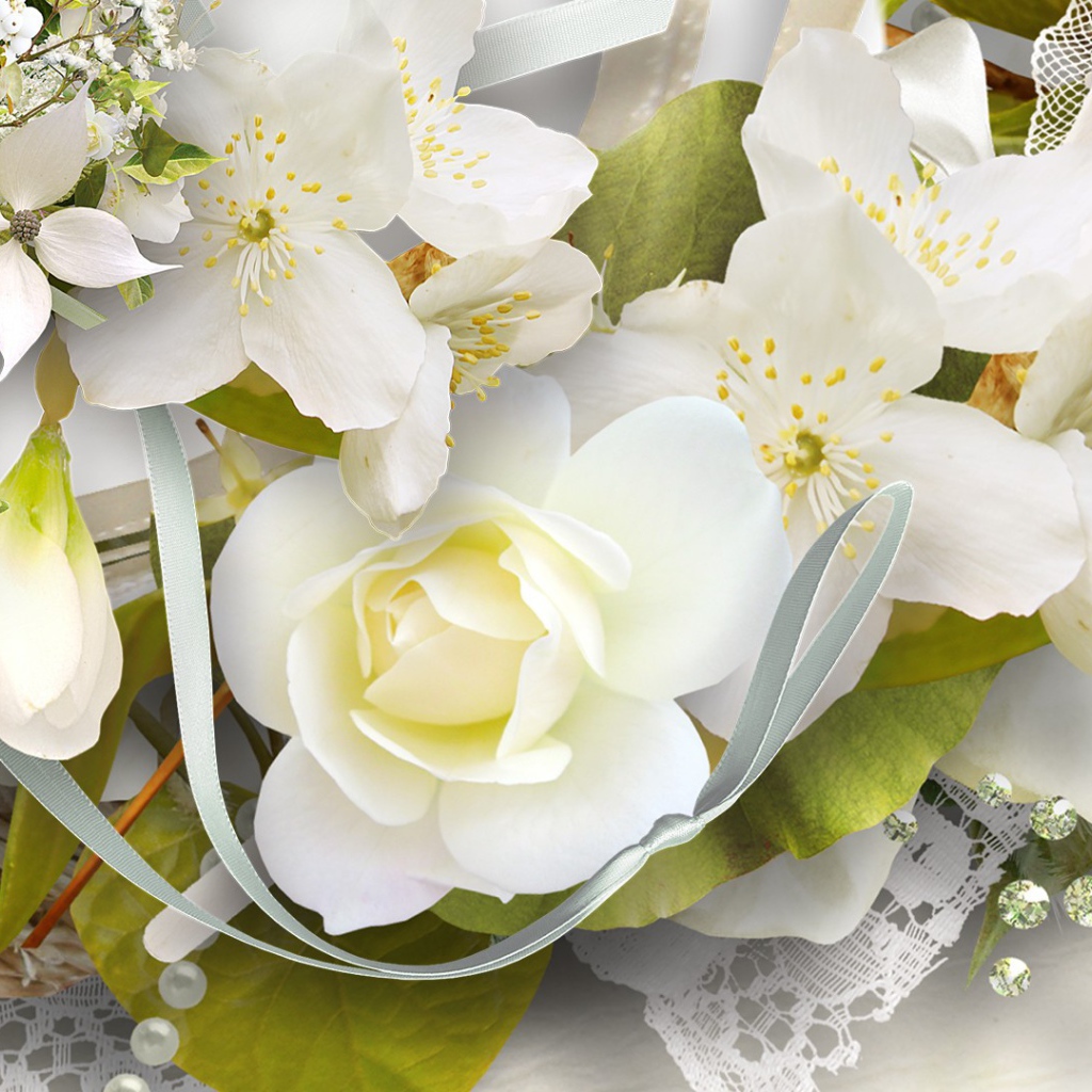 Белая роза и другие цветы, картинка на восьмое марта