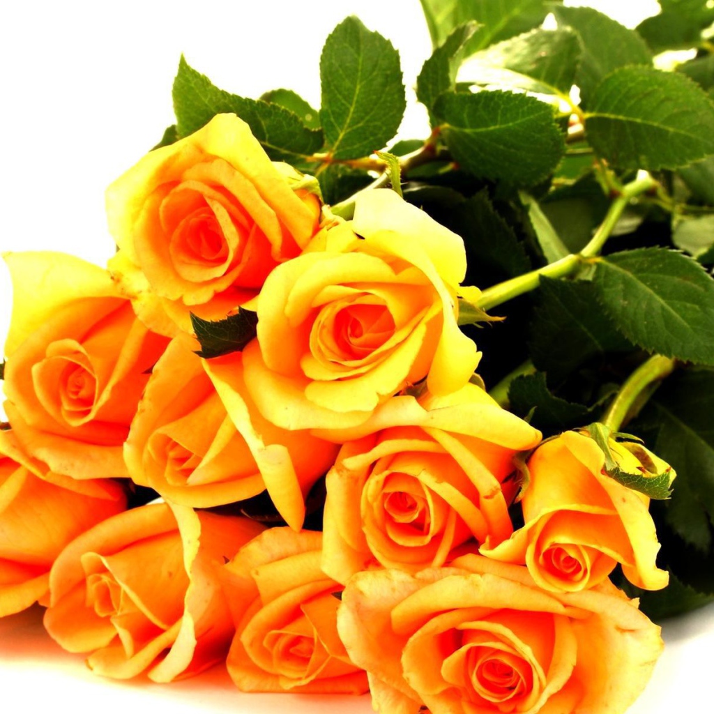 Жёлтые розы в букете для любимой дамы